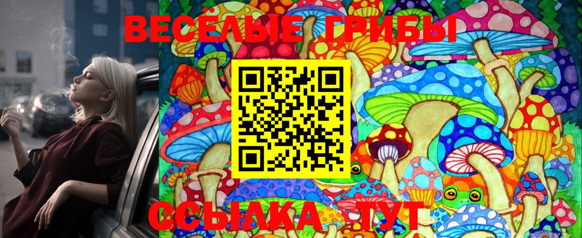Псилоцибиновые грибы Cubensis  Галлюциногенные грибы прущие грибы  Волгодонск  Вход с VPN 