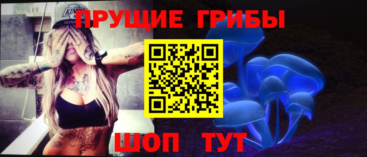Галлюциногенные грибы Cubensis Волгодонск